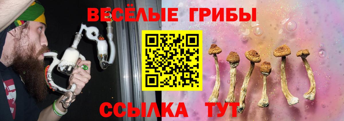 Галлюциногенные грибы Cubensis Советская Гавань