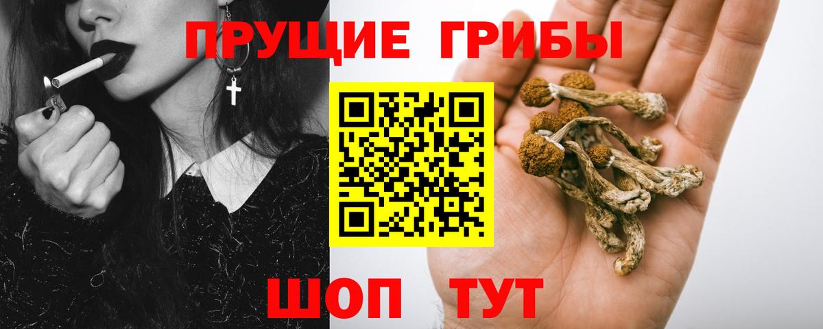APVP СК кристаллы  Кокаин  МАРИХУАНА  Советская Гавань  Вход с VPN  Гашиш  ГАШ  Меф МЯУ МЯУ кристаллы 
